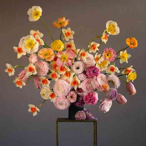 حمید ذورقی نشونم ده پریدن رو که واست بپرم بابا